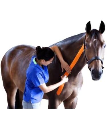 Vetkin Vetkintape Kinesiology Tape for Animals - 6cm x 5m | Premium Latex-Free Kinesiotape for Horses & Dogs | T V-Certified & 25% Stronger Adhesive (Pink) - Buy Online on GoSupps.com