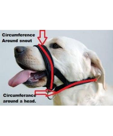 Champion Anti-Pull Training Halter for Dogs - Padded Black No More Pulling | International Shipping - Buy Online on GoSupps.com