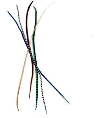 Real Feather Hair Extensions - forest (5 Feathers) - Buy Online on GoSupps.com