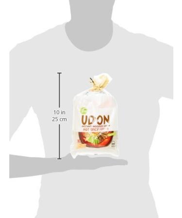 Allgro Udon Instant Noodles - Spicy | Quick Prep 3 Portions 690g | International Shipping Available - Buy Online on GoSupps.com
