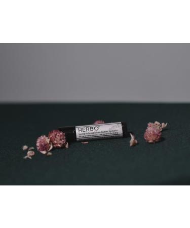 Herbo Shea Butter Lip Balm - Hydrating Natural Coconut Oil & Hemp-Infused Moisturizer for Dry Lips - Vegan & Silicone-Free Lip Care for Women & Men - Buy Online on GoSupps.com