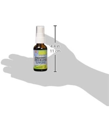 L A NATURALS Congestion & Sinus Blaster Spray 1.0oz - Fast Relief, Natural Ingredients - Buy Online on GoSupps.com
