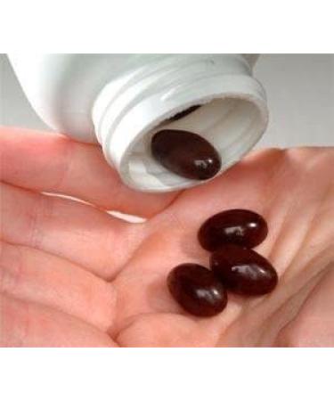 CherryFlex by FruitFast - 100% Red Tart Organic Cherry Concentrate Supplement - 60 Count - Non-GMO, Gluten Free Joint Health - 1 Pack - Buy Online on GoSupps.com