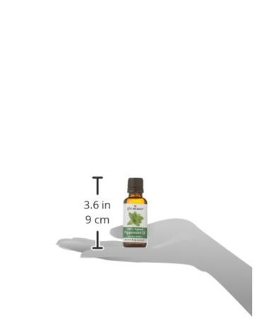 Cococare 100% Natural Peppermint Oil 1 fl oz - Pure Aromatherapy Essential Oil - Buy Online on GoSupps.com