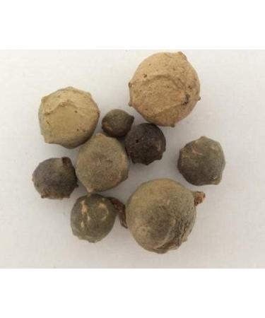 Satisfactory Nation Jadi Booti 200 Gram Maju Phal Majoo Phal Manjakani Quercus Infectoria - Buy Online on GoSupps.com