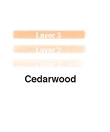 Lip Ink Liquid Mini Lip Kit - Cedarwood | Natural & Organic Women's Makeup | 100% Vegan & Kosher - Shop Internationally - Buy Online on GoSupps.com