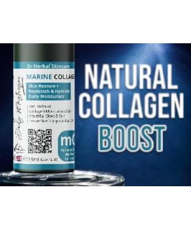 Dr. Herbal Marine Collagen Daily Moisturiser with Bladderwrack Caviar Aloe Vera Anti-Aging Cream for Wrinkle Reduction Skin Hydration Firmness & Rejuvenation - Buy Online on GoSupps.com