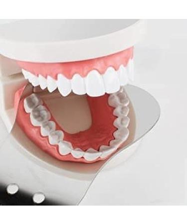 Orthodontic Stainless Steel Tooth Mirror for Intraoral Photography - U.S. Delivery in 5 Days - Buy Online on GoSupps.com