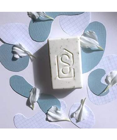 Soapiary Luxury Vegan Triple Milled Soap Bar - Natural Hypoallergenic Parsley Aloe 1 Count - Buy Online on GoSupps.com