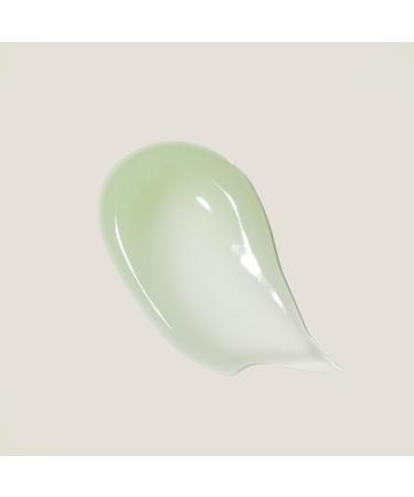 KAINE Green Calm Aqua Cream 70ml - Soothing Hydration for All Skin Types | International Shipping Available - Buy Online on GoSupps.com