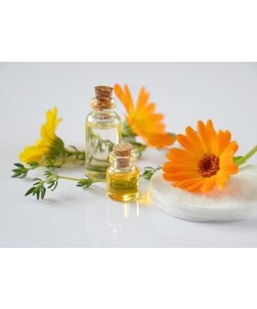 Haut-S gala Laboratory Organic Neem Oil 50ml - Buy Online on GoSupps.com