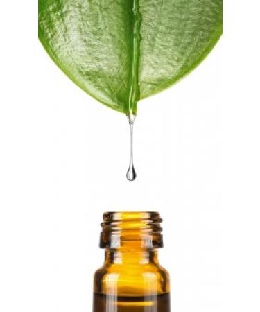 Geogard 221.50ml by Dragonspice Naturwaren 50ml 50 ml (1 pack)