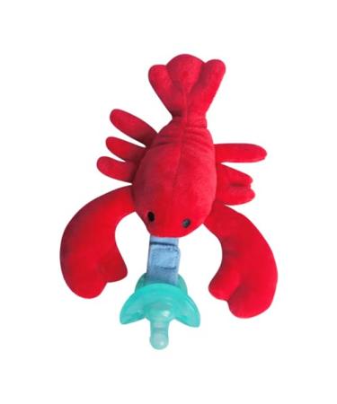 NiBaby Pacifier with Infant Plush Pacifier Holder  BPA Free Silicone Teether Soothie Snuggle Pacifier with Detachable Soft Hand-Hold Stuffed Animal for 0+ Months Newborn Baby All Ages (Lobster)
