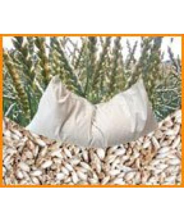 Naturhaus Kaiser organic spelt pillow 40 cm x 80 cm size white - Buy Online on GoSupps.com