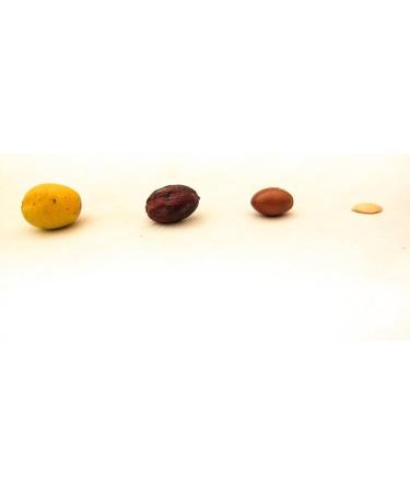  Arganiae Pure Argan Oil 250 ml - Buy Online on GoSupps.com