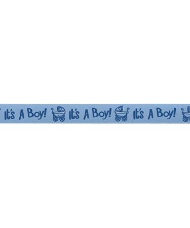 10 Yard Blue Stain Ribbon for Baby Shower, Party & Christening - Buy Online on GoSupps.com