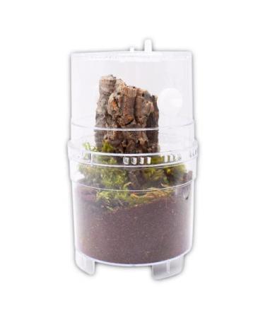 The Spider Shop Arboreal Keeper XL - Purpose Built Housing for Arboreal Tarantuala and othe Invertebrates