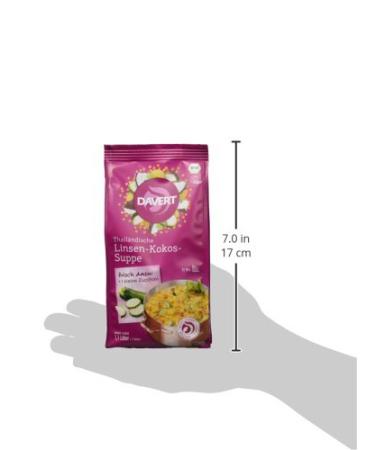 Davert Thai Lentil Coconut Soup - Organic Pack of 6 (6 x 170g) | International Shipping Available - Buy Online on GoSupps.com