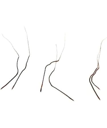 Indianstore4everyone 100% ORIGINAL Raj Mohini Jadi Mohini Jadi (Black 9 Pieces) - Buy Online on GoSupps.com