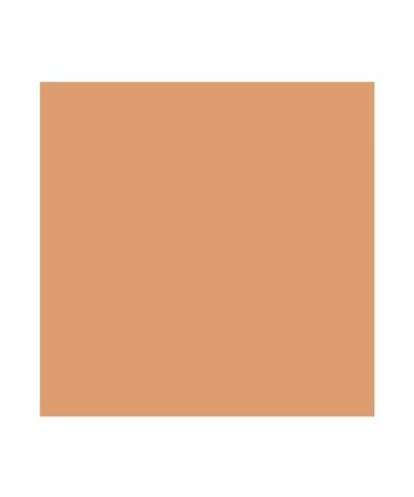 MAC Cosmetics Studio Finish Concealer SPF35 7g/0.24oz NW40 - Full Coverage Concealer - Buy Online on GoSupps.com