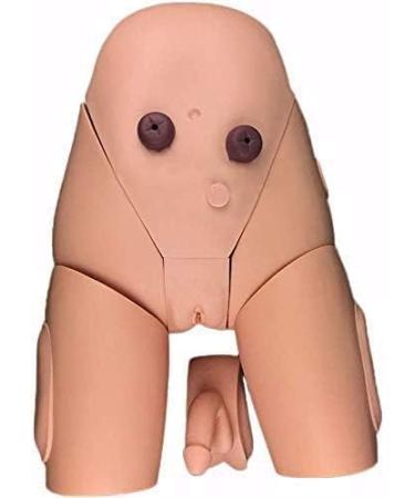 Dacun High-Quality Catheterization Simulator - Men & Women Training Model | Catheterization Coach Set - Buy Online on GoSupps.com