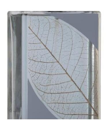 Intense Najdiaa NEW Fragrance for Men 100 ML (3.4 fluid ounce) - Buy Online on GoSupps.com