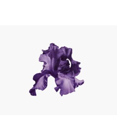 Royal Velvet Firming Eye Contour Cream - Rejuvenate & Brighten Your Eyes | International Shipping Available - Buy Online on GoSupps.com