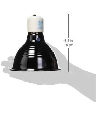 Fluker's Repta-Clamp Lamp with Switch Black - 5.5-Inch | For Reptiles - Buy Online on GoSupps.com