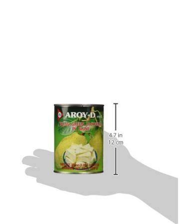 Aroy-D Young Green Jackfruit In Brine 20 oz - Buy Online on GoSupps.com
