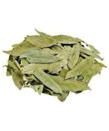 JEVR Senna Leaf 50g x 2 pieces | Sonamukhi-Patta | Swarnamukhi | Sanaya Leaves