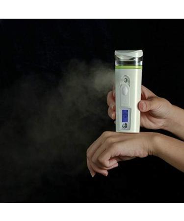 YSH Beauty Nano Beauty Facial Sprayer Moisturizing Face Steaming Device Capacity: 30ml (Pink) (Color : White) - Buy Online on GoSupps.com