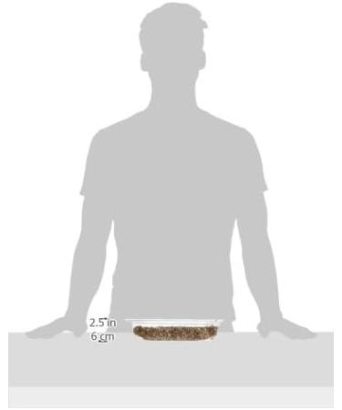 Webbox Cat Grass Kit 120g - Buy Online on GoSupps.com