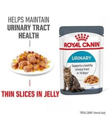 ROYAL CANIN Urinary Care In Jelly Adult Wet Cat Food (Pack of 24) - Buy Online on GoSupps.com