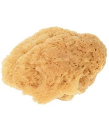 Croll & Denecke Natural Sponge G5 approx. 19cm