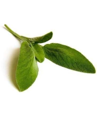 Large Herbal Package for Vaporizers & Aromatherapy - 235g of Scented Herbs & Incense - Buy Online on GoSupps.com
