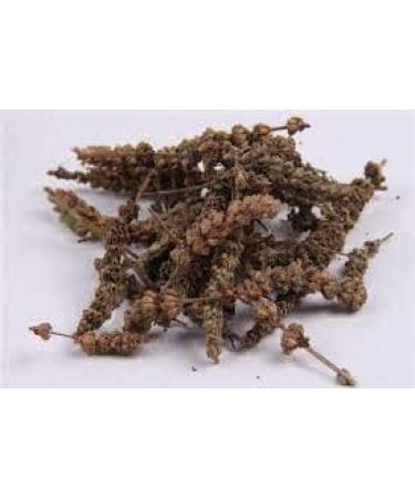 TCM Herbs USA Jing Jie Sui / Herba Schizonepetae Spica/ Schizonepeta Spikes (16 oz)