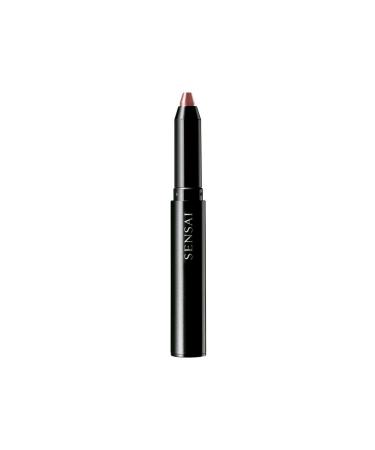 Kanebo Silky Design Rouge Lipstick DR 05 Beniukon 12 g