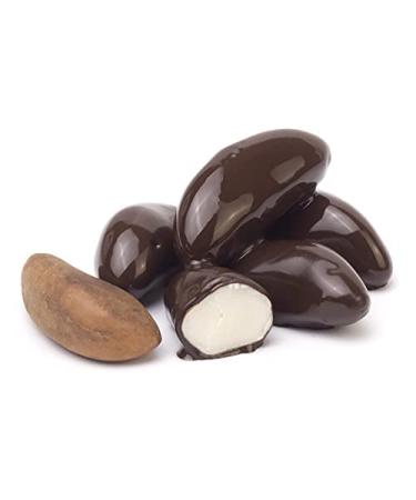 Buy Organic Brazil Nuts in Fair Trade Cocoa | Raw Food No Added Sugar 100% Vegan - 175g Bag - Buy Online on GoSupps.com