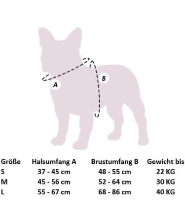 Best Dog Harness for Small Dogs | Reflective Soft Padded Adjustable & Anti-Train - Perfect for Running & Safety - Buy Online on GoSupps.com