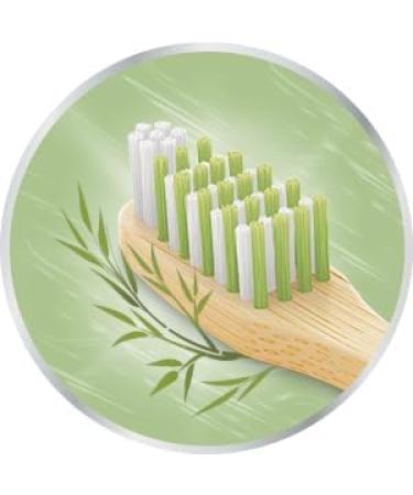 Buy Dr. Best Nature Bamboo Interdent Toothbrush - Medium (1 Pack) | Sustainable Quality for International Shipping - Buy Online on GoSupps.com