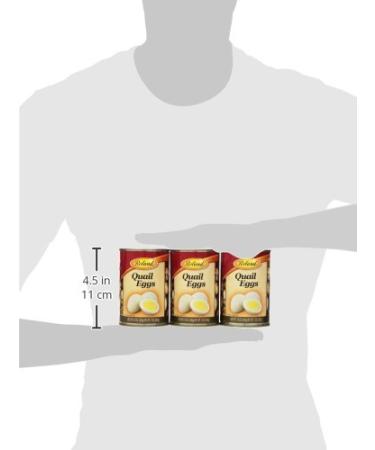 Roland Foods Quail Eggs - Specialty Imported Food - 15-Ounce Can (Pack of 6) - Buy Online on GoSupps.com