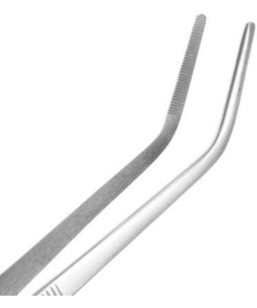 May Terrarium Tweezers 25cm | Curved Stainless Steel Feeding Tongs for Reptiles & Plants - Buy Online on GoSupps.com