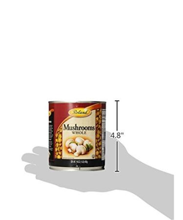 Roland Foods Whole Medium and Large Button Mushrooms  Specialty Imported Food  16 Ounce (4 Pack) - Buy Online on GoSupps.com
