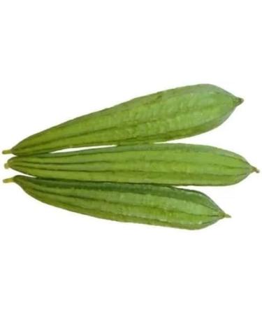 Fresh Thuriya Indian | 2Picese | Ridged Gourd | 100% Fresh Vegetable | Indian Origin Next Day Shipping By Seelans - Buy Online on GoSupps.com
