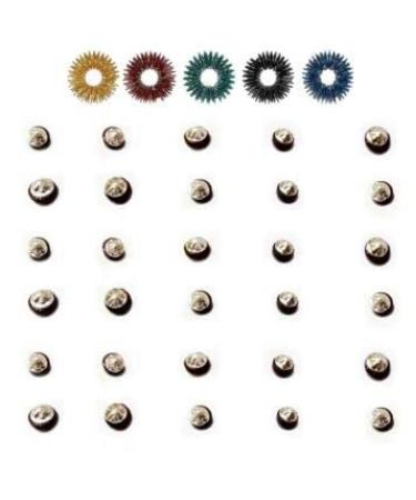 HPS Sujok Therapy Star Magnets Round (Set of 30) +5 Acupressure Massage Rings