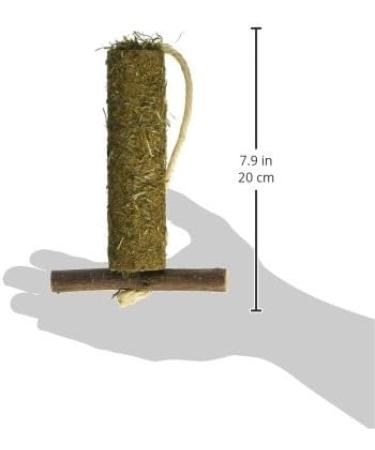 Rosewood Naturals Hay-n-Treat Swing for Small Animals 1 Count (Pack of 1) - Buy Online on GoSupps.com