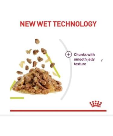 Royal Canin Sensory Smell in Jelly Wet Cat Food 85g (Pack of 48) - Buy Online on GoSupps.com