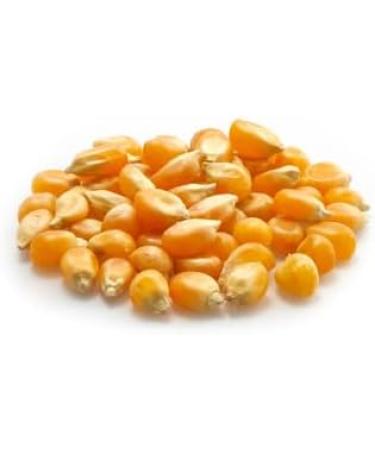 Yupik Popcorn Kernels Unsalted 1 kg Gluten-Free Vegan Kosher GMO-Free Popping Corn Whole Golden Kernels Salt-Free Oil-Free Source of Fiber Healthy Snack - Buy Online on GoSupps.com