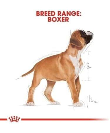ROYAL CANIN Boxer Puppy 30 Dry Mix 3 kg - Buy Online on GoSupps.com