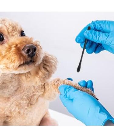 Perfeclan 200 Cotton Swabs - Double-Headed Wooden Ear Cleaners for Makeup & Polishing - Black Tips & Round Ends - International Shipping Available - Buy Online on GoSupps.com